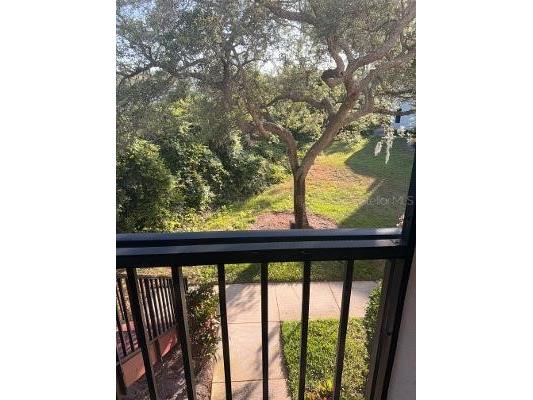 3455 Countryside Boulevard #4 Clearwater FL 33761 TB8502336 image20