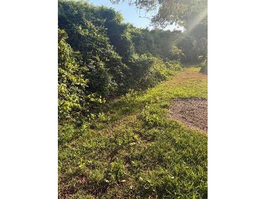 3455 Countryside Boulevard #4 Clearwater FL 33761 TB8502336 image5