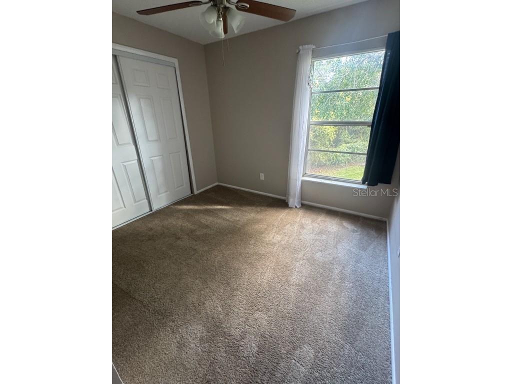 3455 Countryside Boulevard #90 Clearwater FL 33761 TB8458238 image5