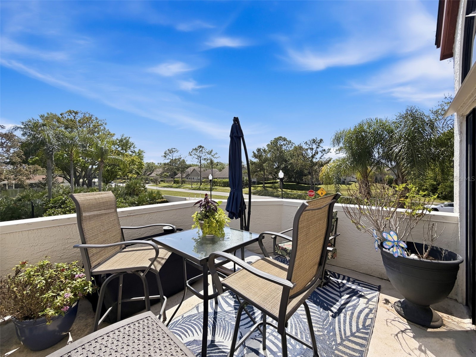 3455 Countryside Boulevard #98 Clearwater FL 33761 TB8494270 image26