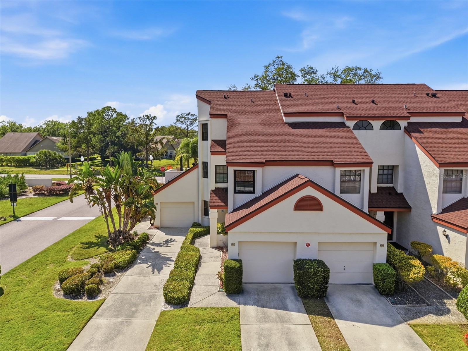 3455 Countryside Boulevard #98 Clearwater FL 33761 TB8494270 image4