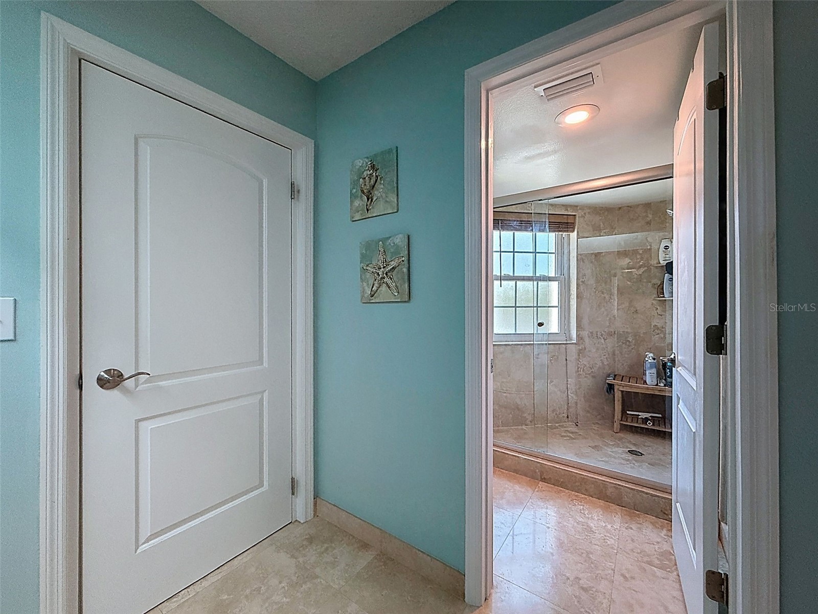 3455 Countryside Boulevard #98 Clearwater FL 33761 TB8494270 image43