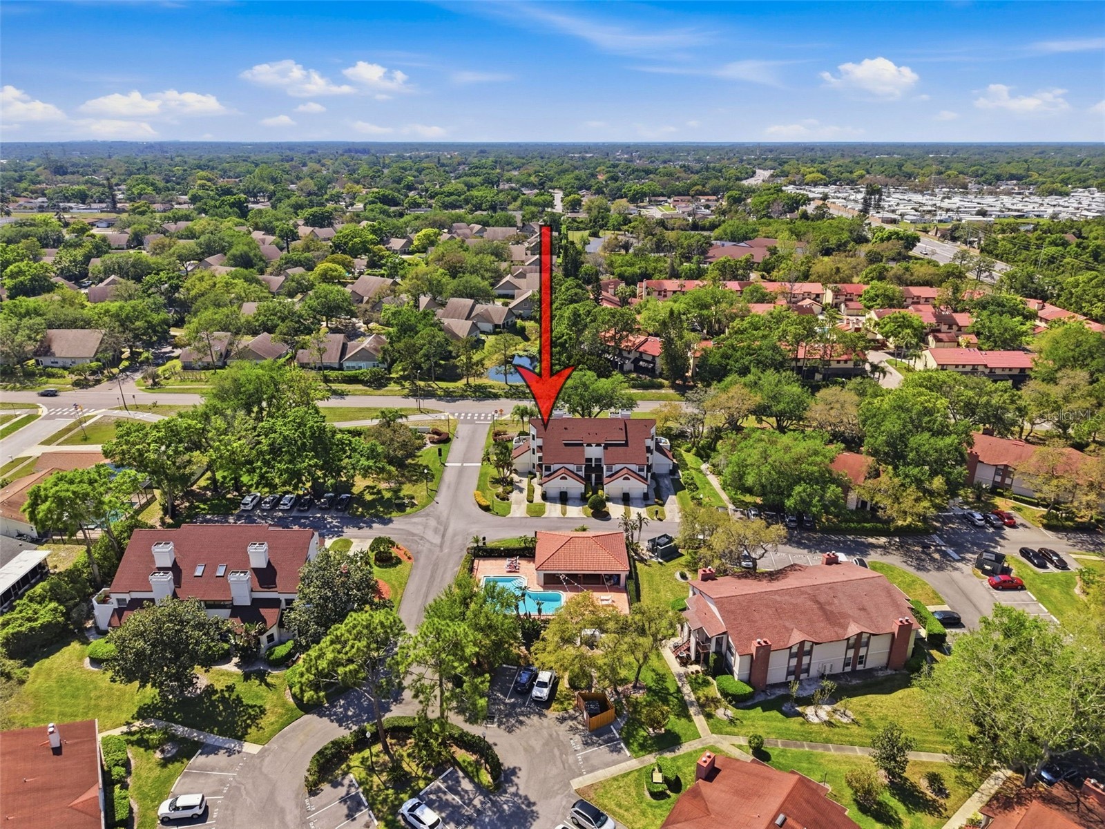 3455 Countryside Boulevard #98 Clearwater FL 33761 TB8494270 image52