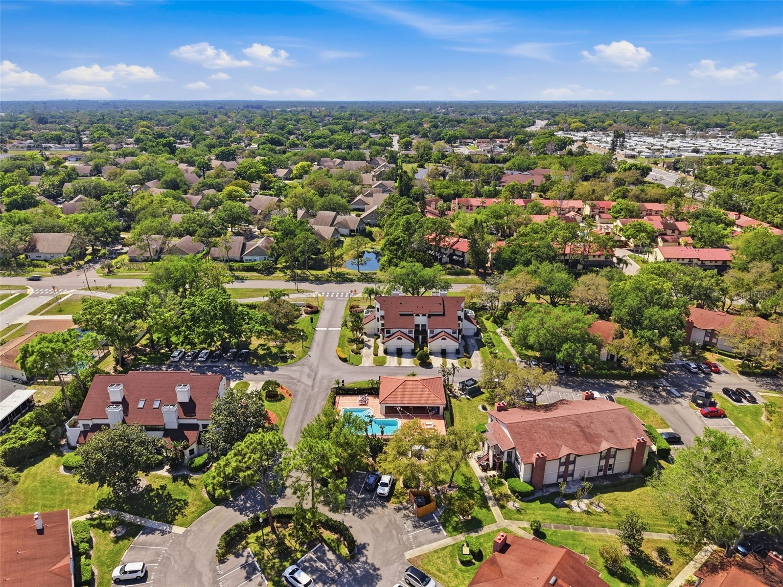 3455 Countryside Boulevard #98 Clearwater FL 33761 TB8494270 image53