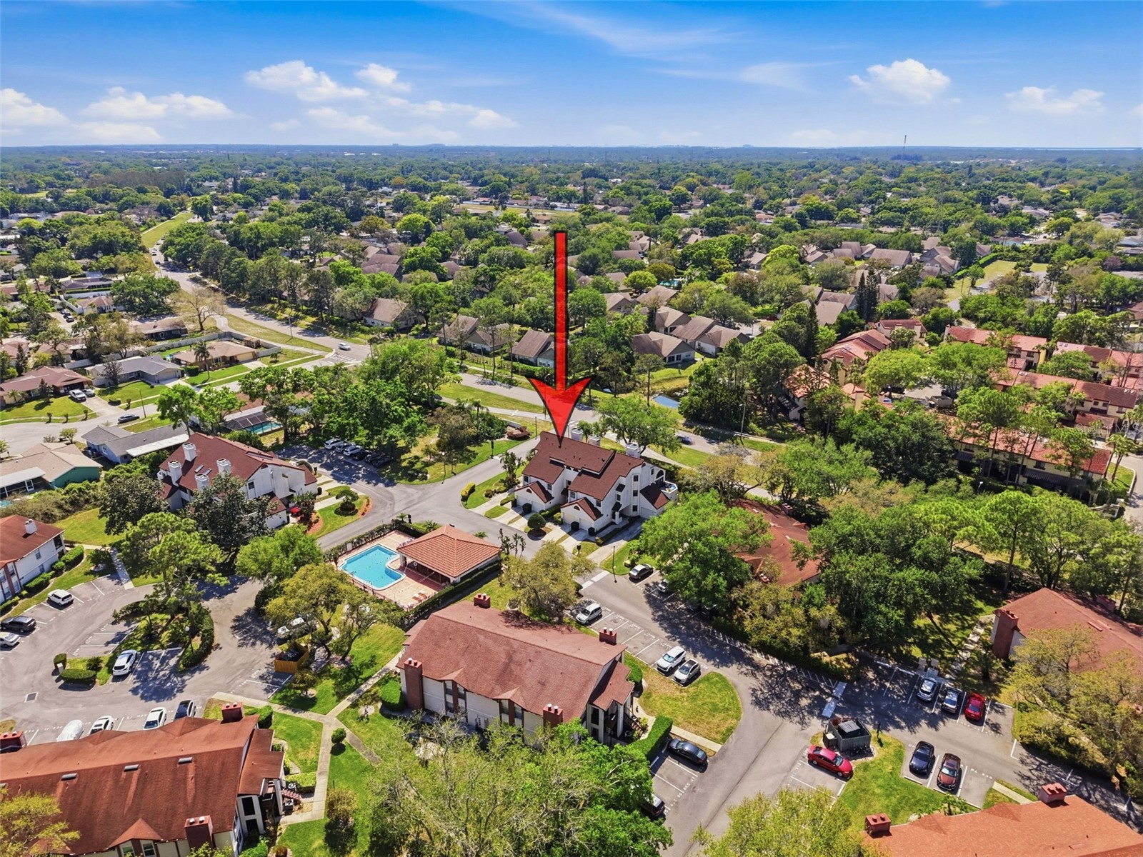 3455 Countryside Boulevard #98 Clearwater FL 33761 TB8494270 image54