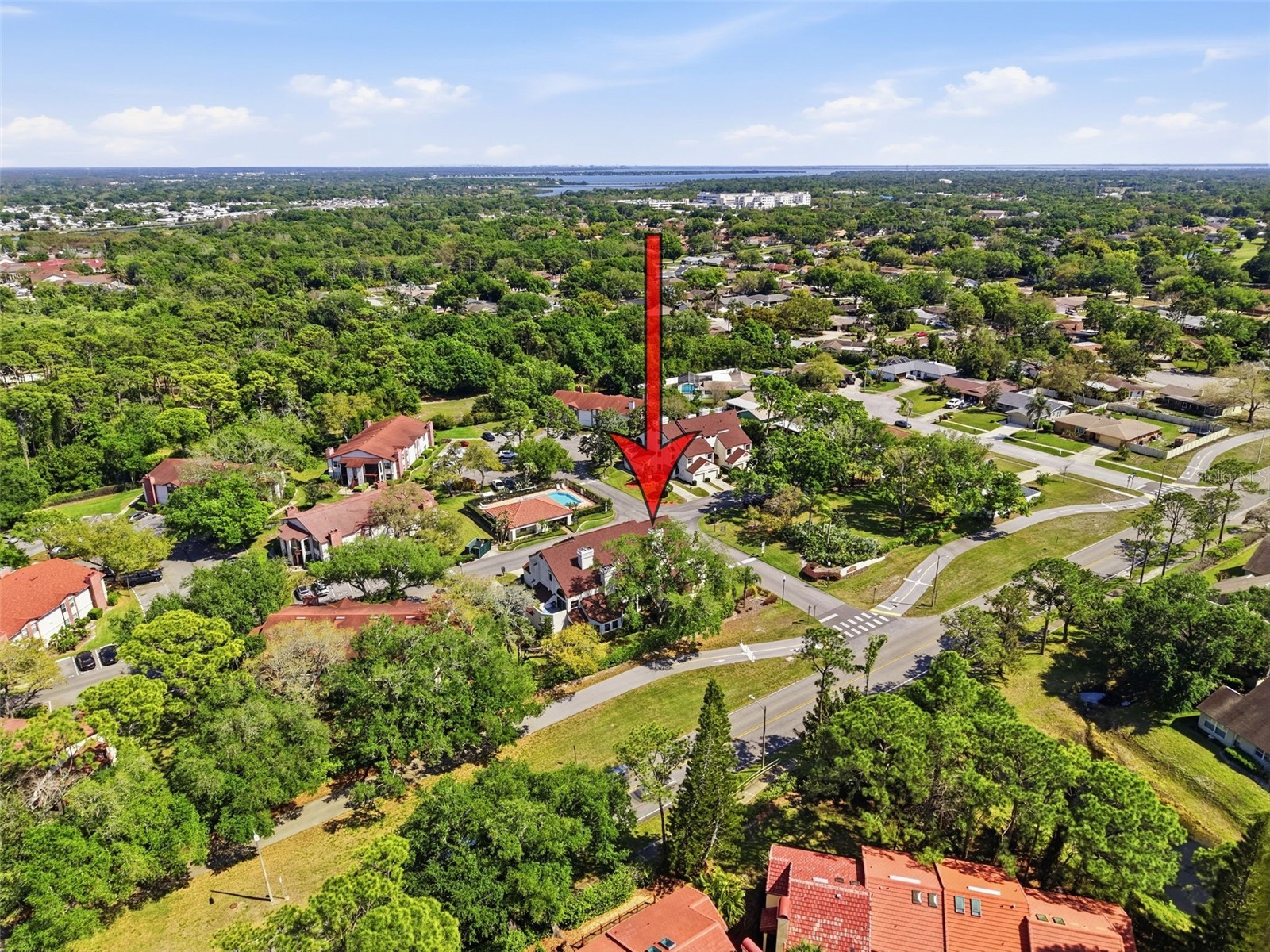 3455 Countryside Boulevard #98 Clearwater FL 33761 TB8494270 image56