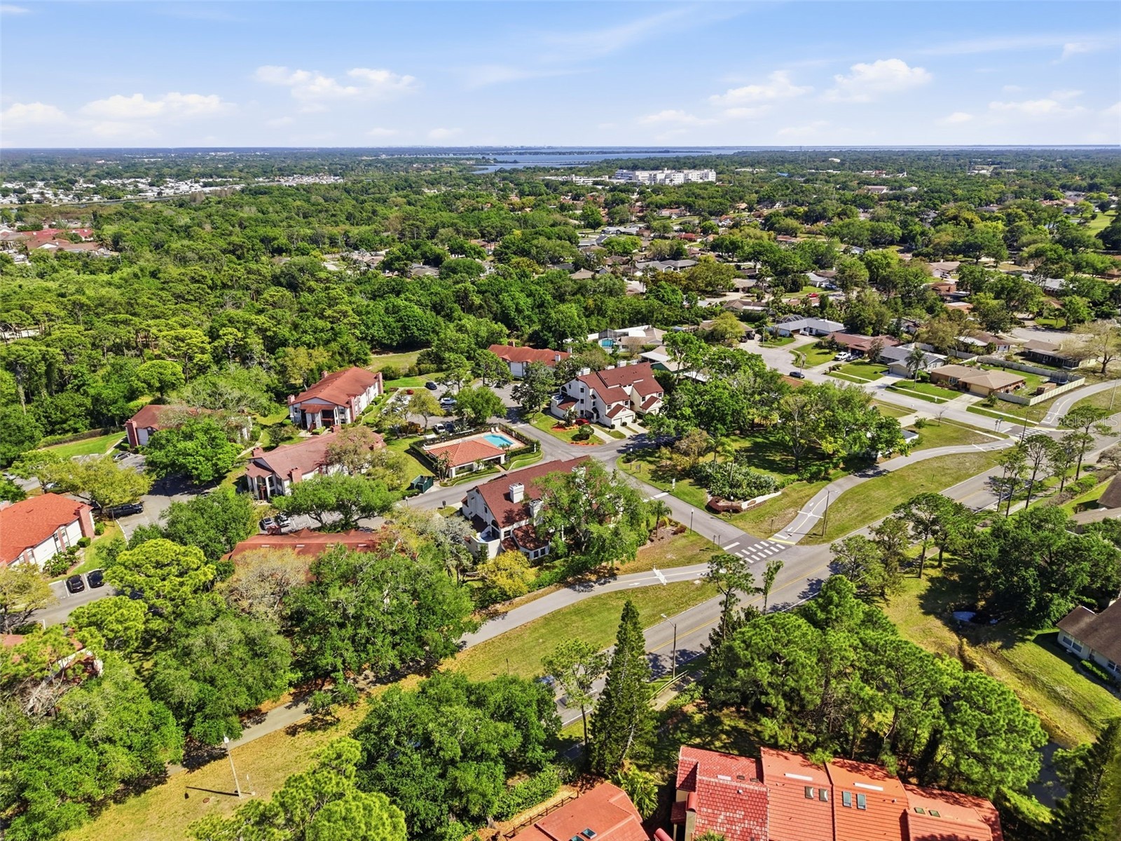 3455 Countryside Boulevard #98 Clearwater FL 33761 TB8494270 image57