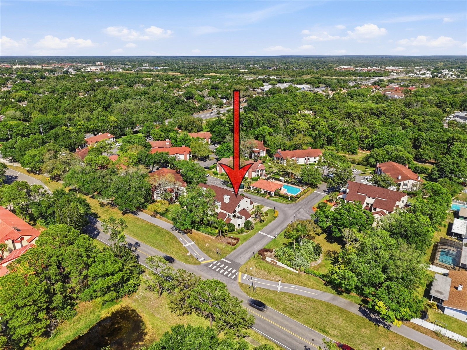 3455 Countryside Boulevard #98 Clearwater FL 33761 TB8494270 image58