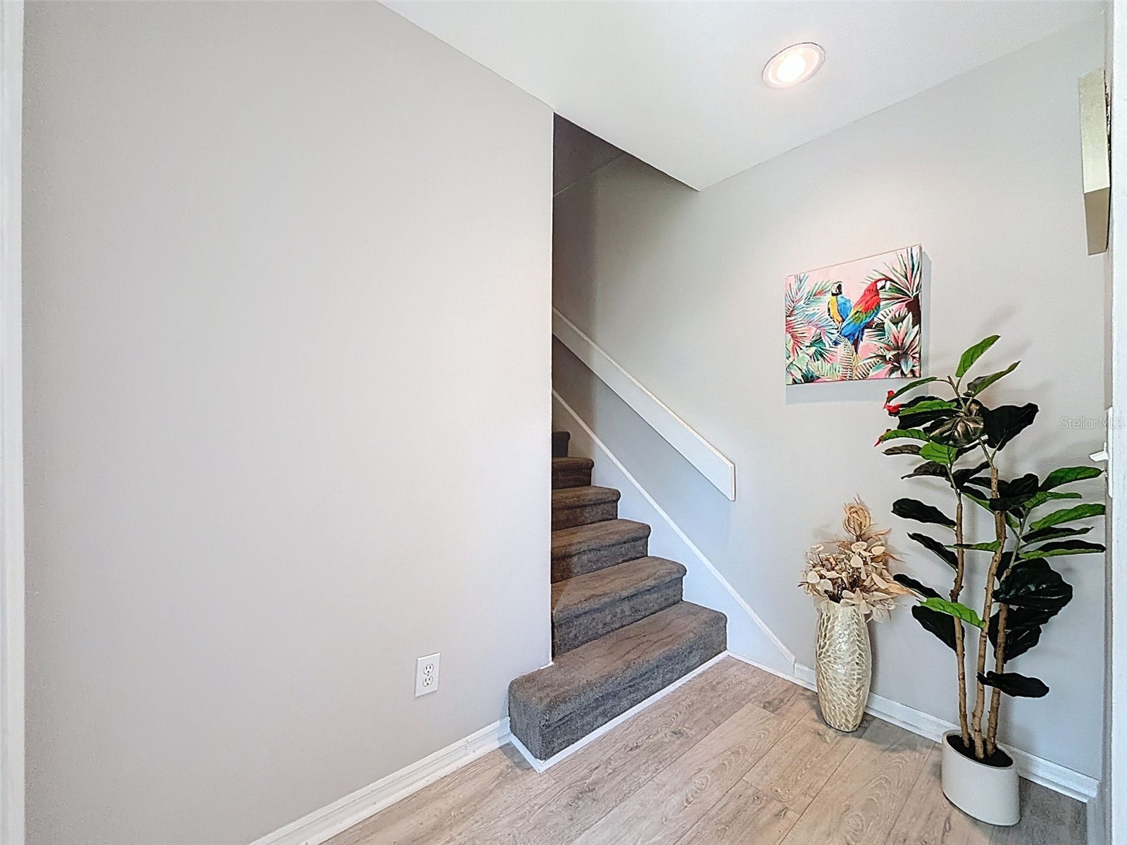 3455 Countryside Boulevard #98 Clearwater FL 33761 TB8494270 image6