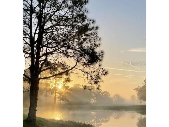 3455 E Fairway Vista Drive Avon Park FL 33825 L4955939 image14