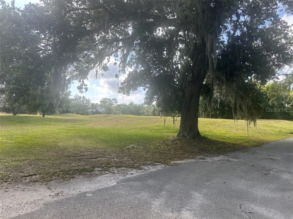 3455 E Fairway Vista Drive Avon Park FL 33825 L4955939 image18