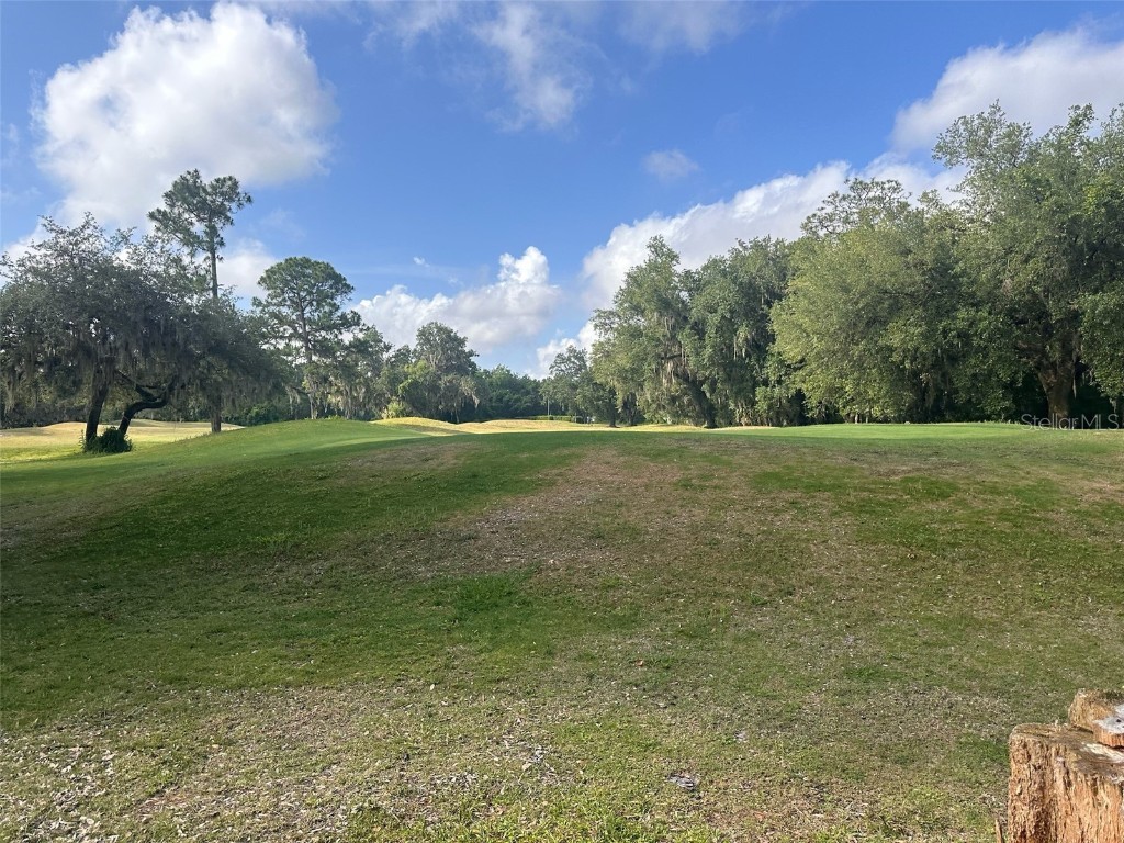 3455 E Fairway Vista Drive Avon Park FL 33825 L4955939 image19