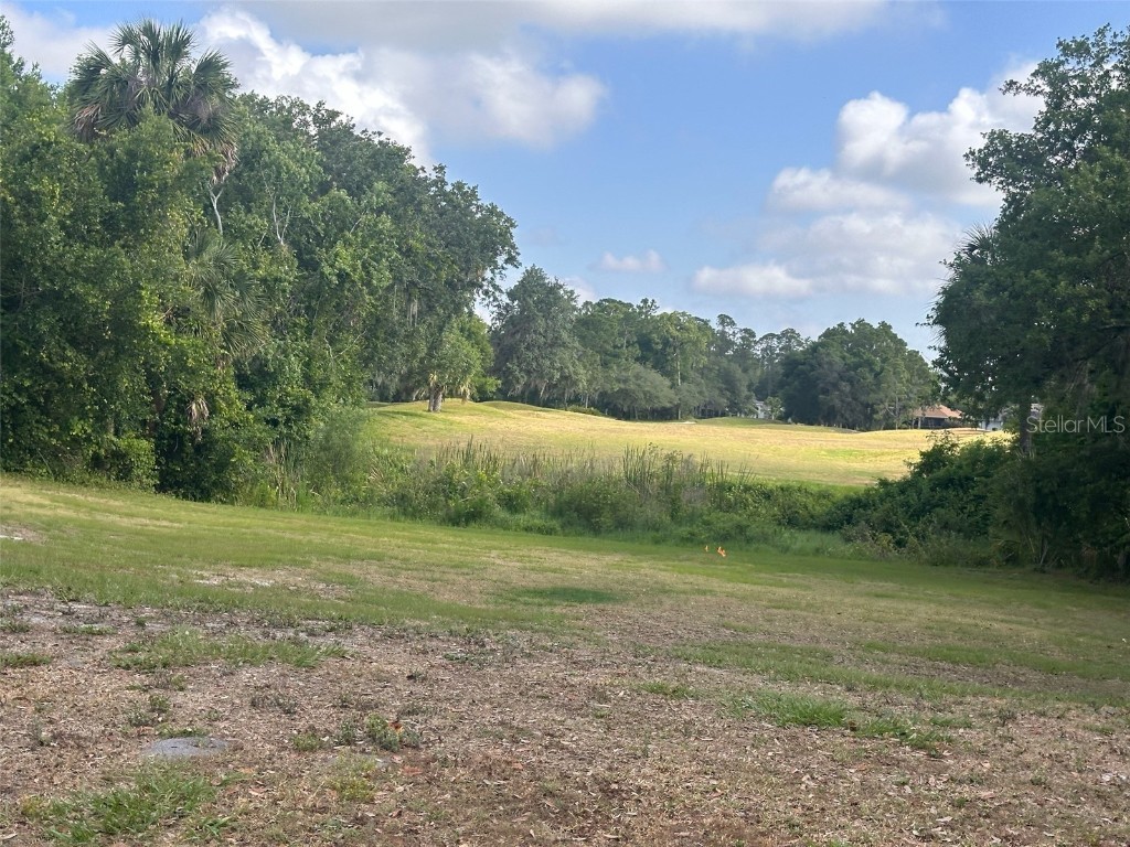 3455 E Fairway Vista Drive Avon Park FL 33825 L4955939 image22