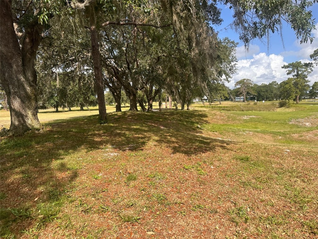 3455 E Fairway Vista Drive Avon Park FL 33825 L4955939 image24