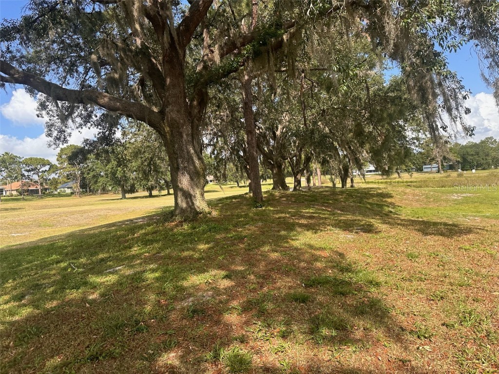 3455 E Fairway Vista Drive Avon Park FL 33825 L4955939 image25