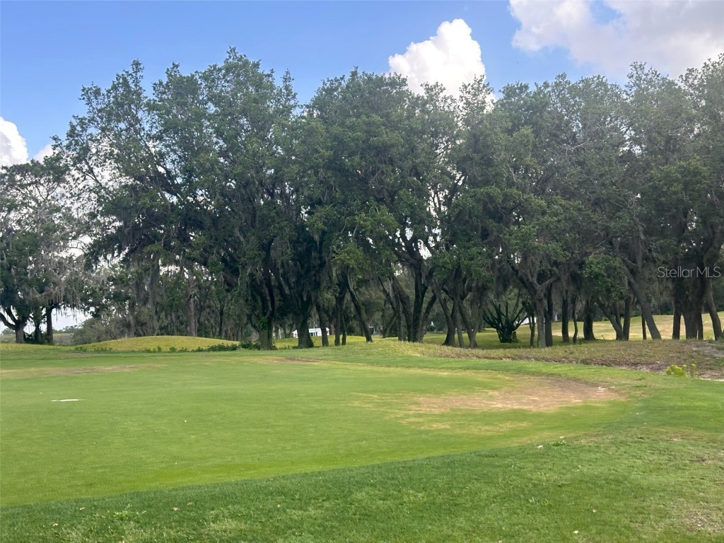 3455 E Fairway Vista Drive Avon Park FL 33825 L4955939 image30