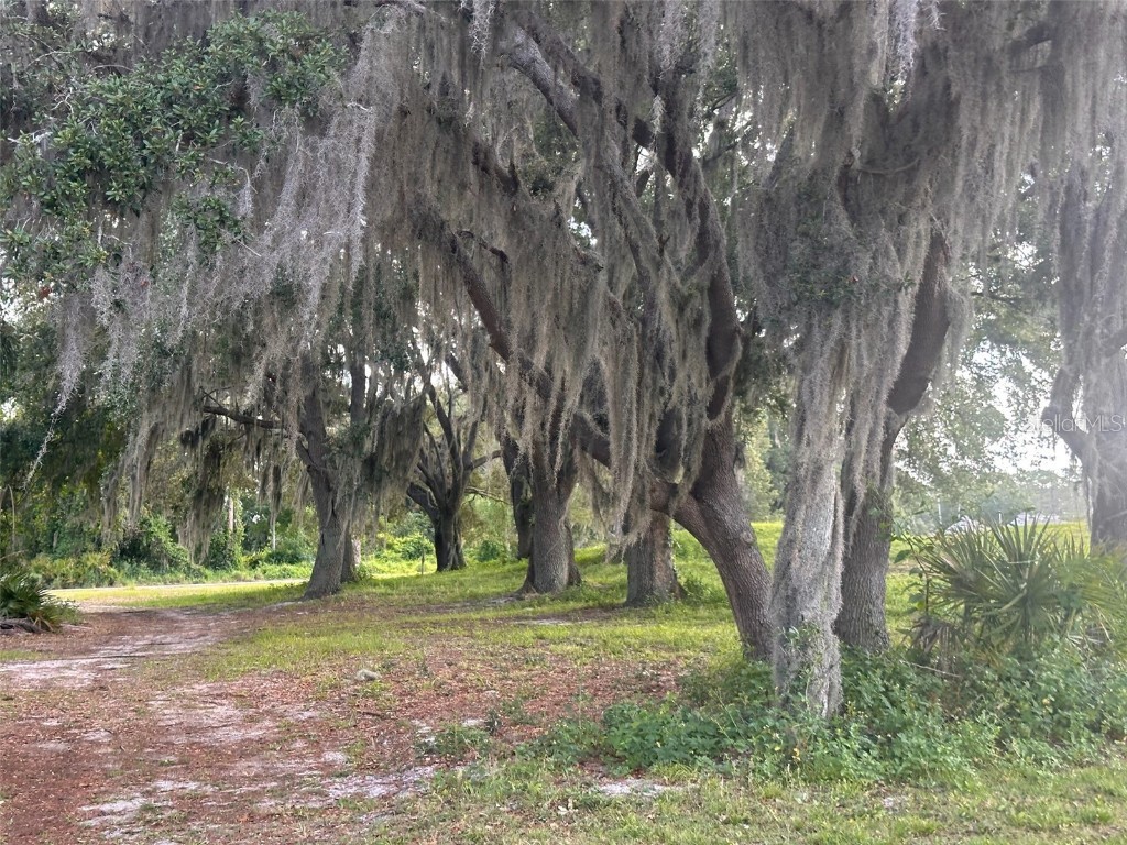 3455 E Fairway Vista Drive Avon Park FL 33825 L4955939 image32