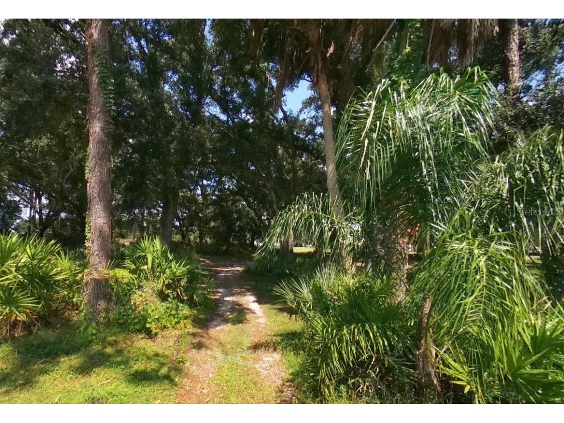 3455 E Fairway Vista Drive Avon Park FL 33825 L4955939 image4