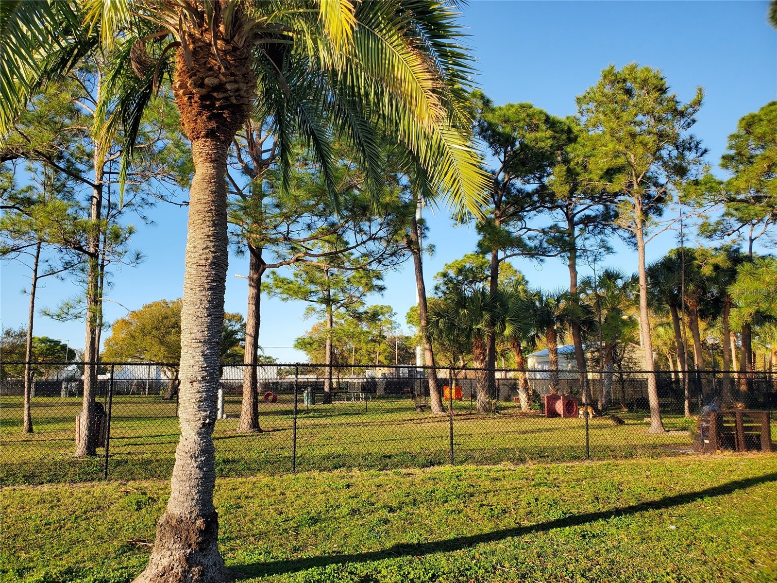3455 Mainlands Boulevard S Pinellas Park FL 33782 TB8504617 image37