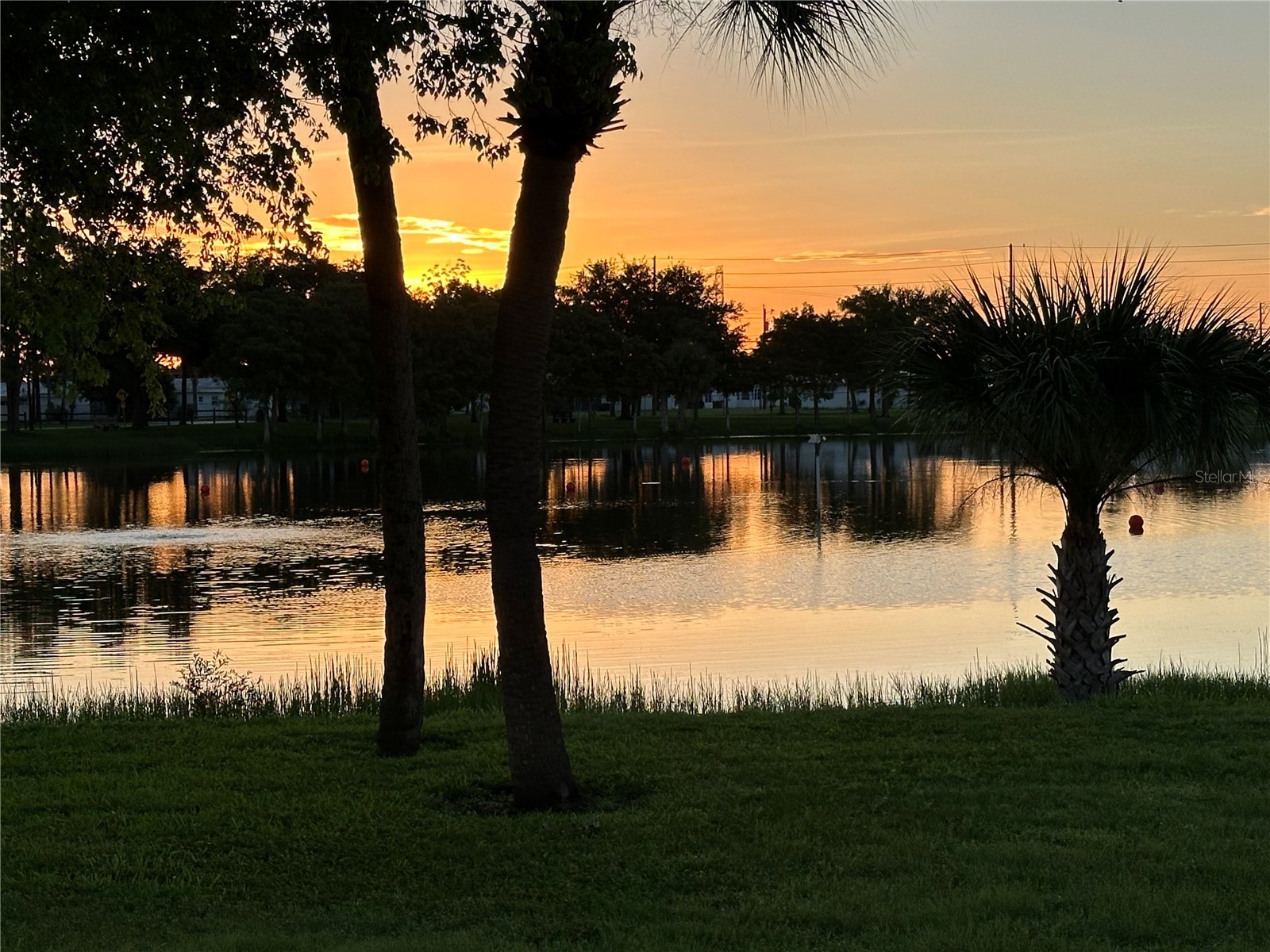 3455 Mainlands Boulevard S Pinellas Park FL 33782 TB8504617 image40