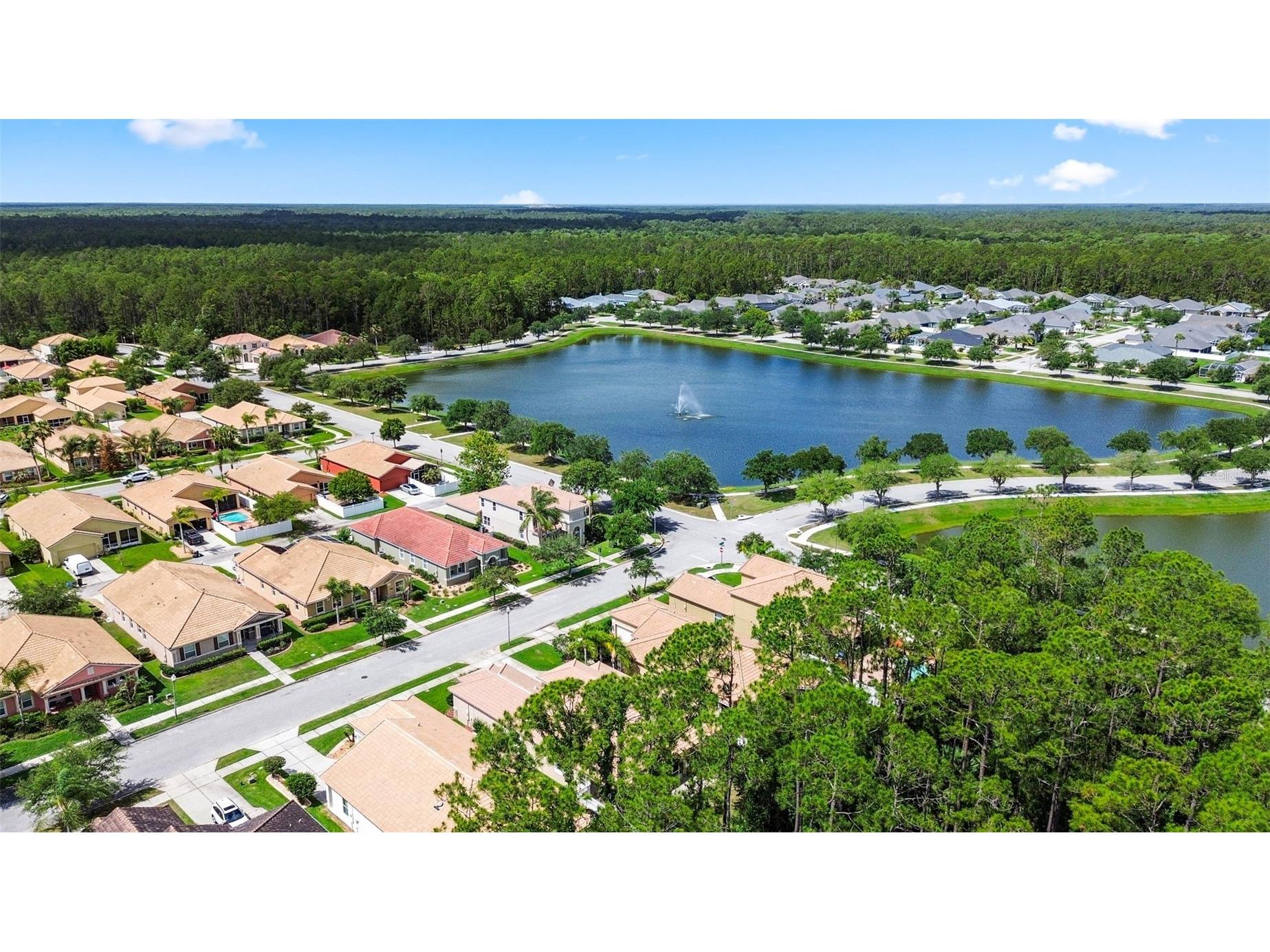 3455 Pegaso Avenue New Smyrna Beach FL 32168 NS1088321 image45