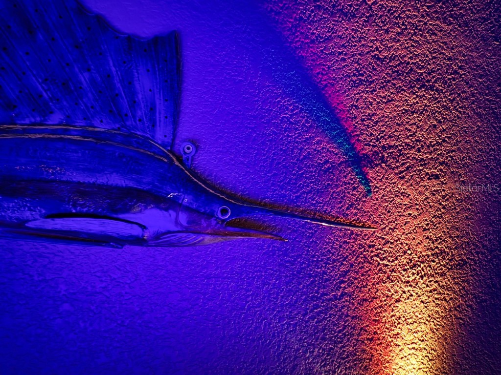 3455 Triggerfish Drive Hernando Beach FL 34607 TB8419704 image38