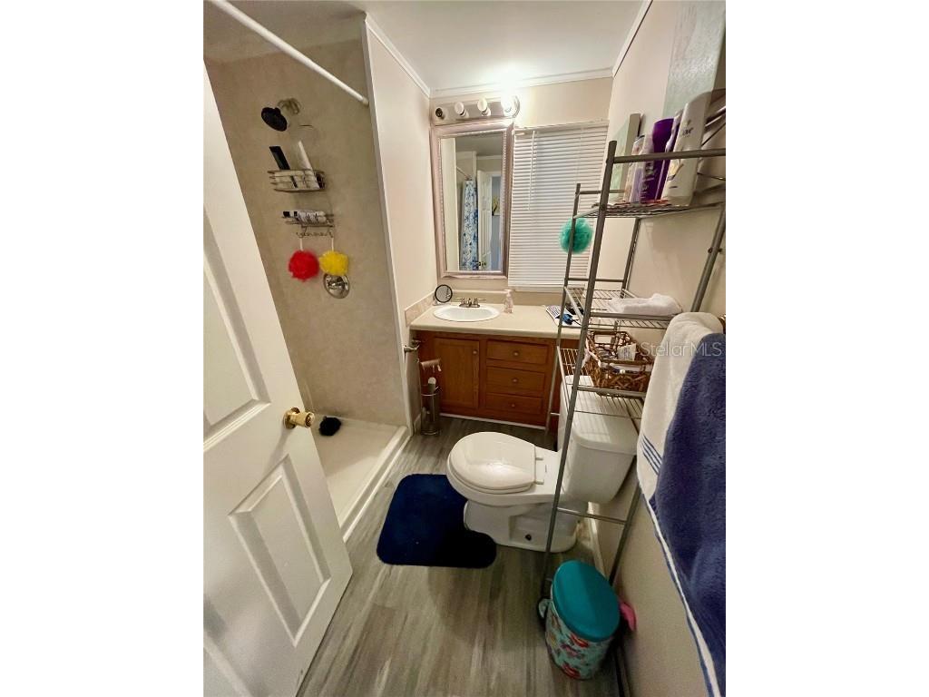 34557 Gardenia Drive N Pinellas Park FL 33781 TB8437994 image15