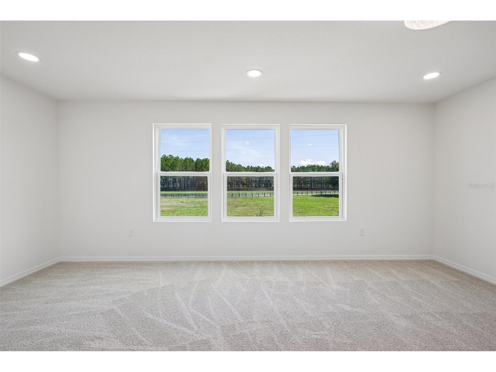 34559 Turpins Avenue Zephyrhills FL 33541 TB8519421 image17