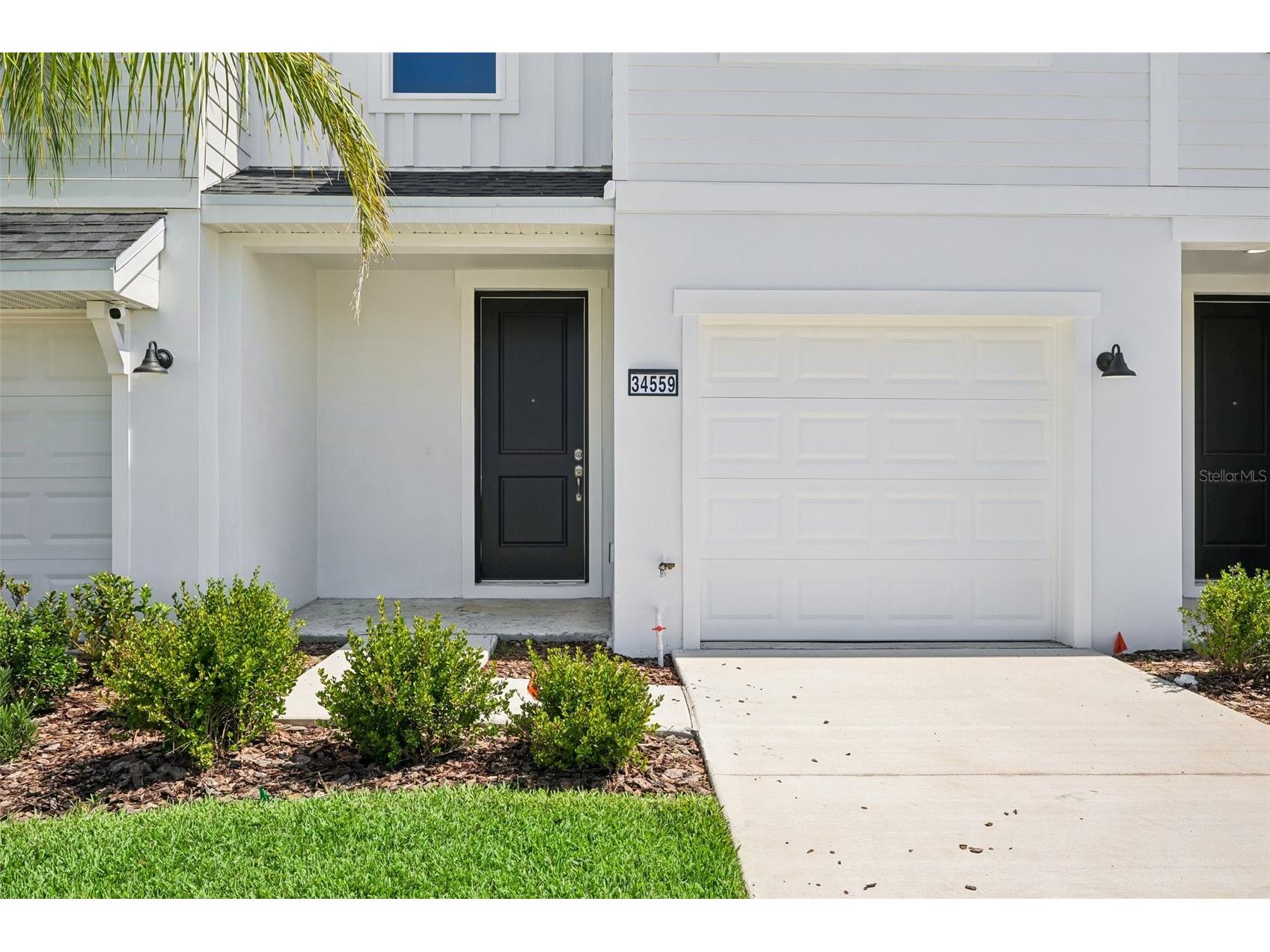 34559 Turpins Avenue Zephyrhills FL 33541 TB8519421 image2