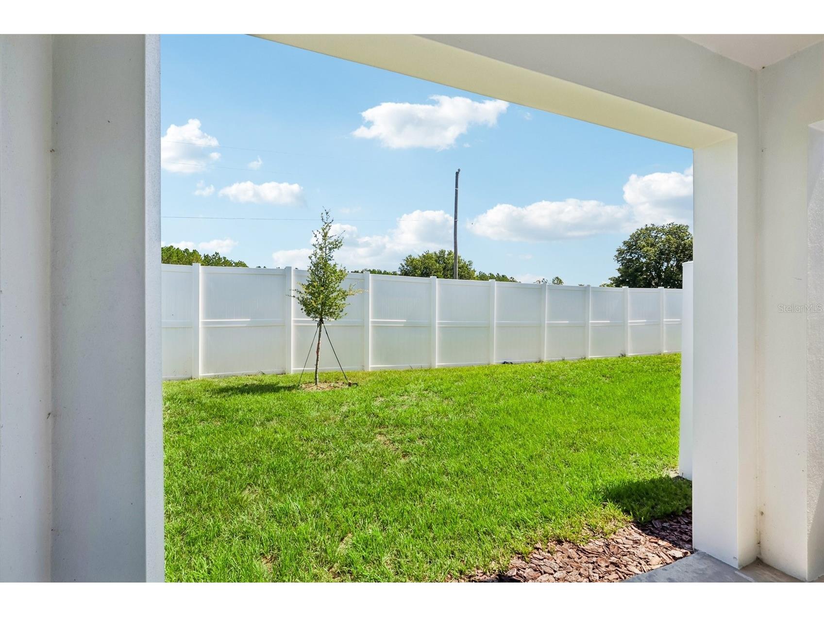 34559 Turpins Avenue Zephyrhills FL 33541 TB8519421 image29