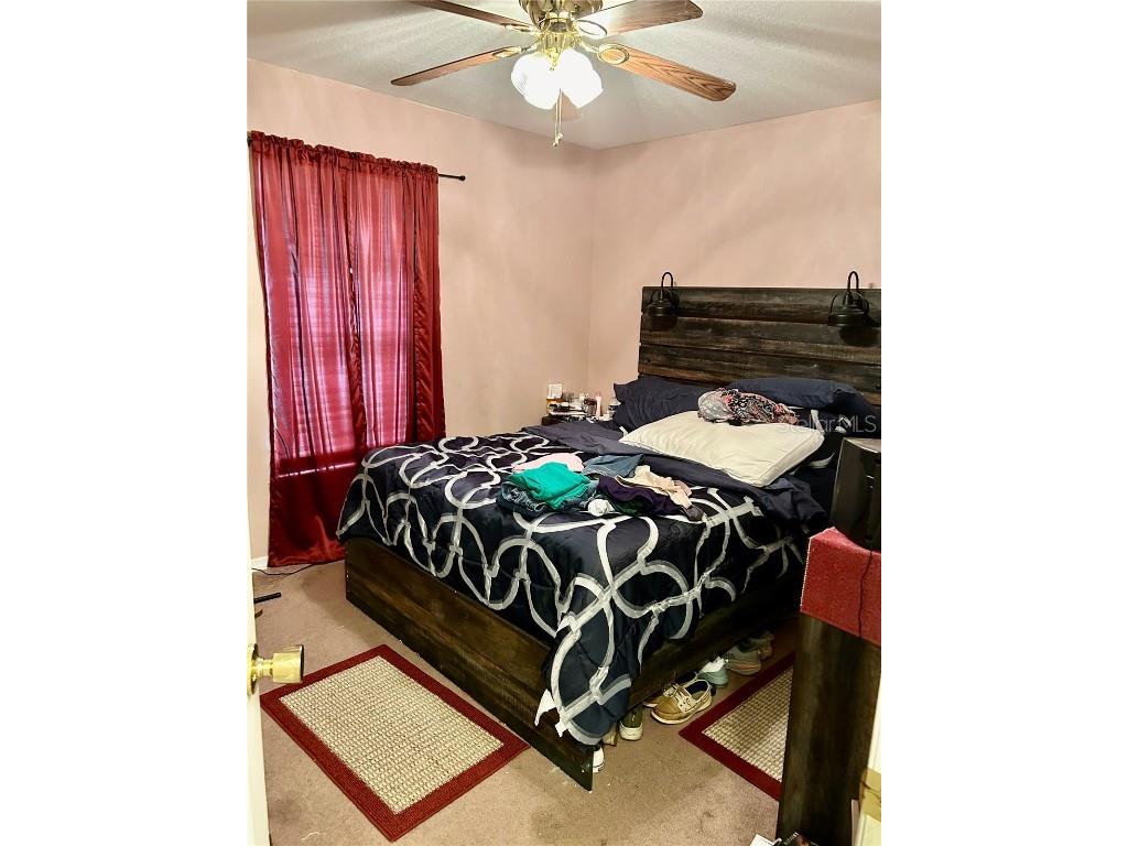 3456 Elm Street Zolfo Springs FL 33890 L4946843 image13