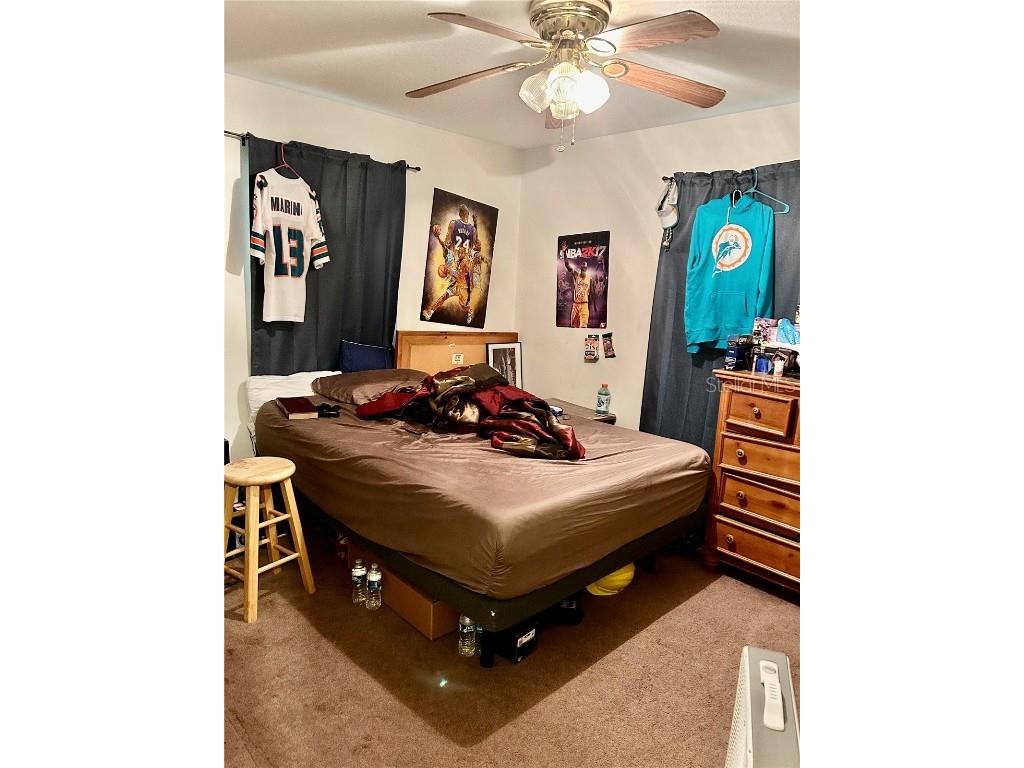 3456 Elm Street Zolfo Springs FL 33890 L4946843 image14