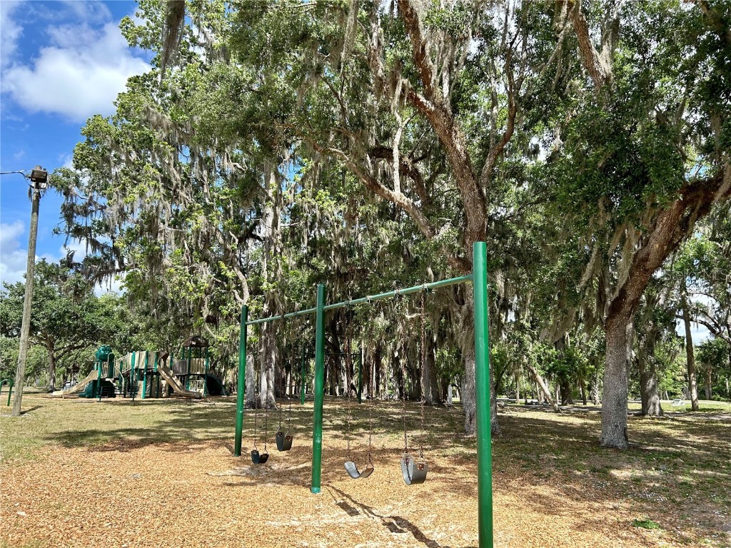 3456 Elm Street Zolfo Springs FL 33890 L4946843 image36