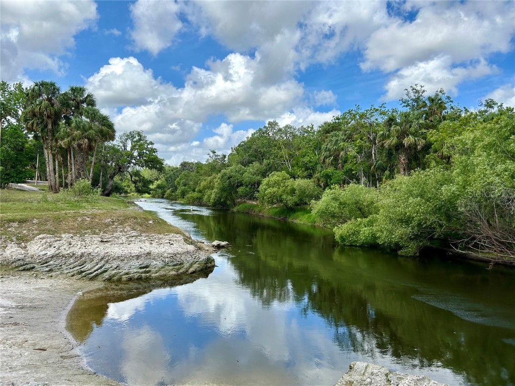 3456 Elm Street Zolfo Springs FL 33890 L4946843 image40