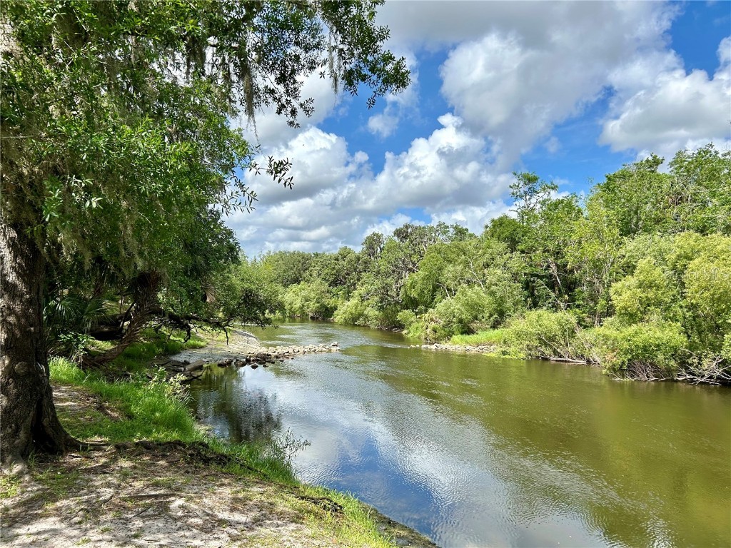 3456 Elm Street Zolfo Springs FL 33890 L4946843 image41