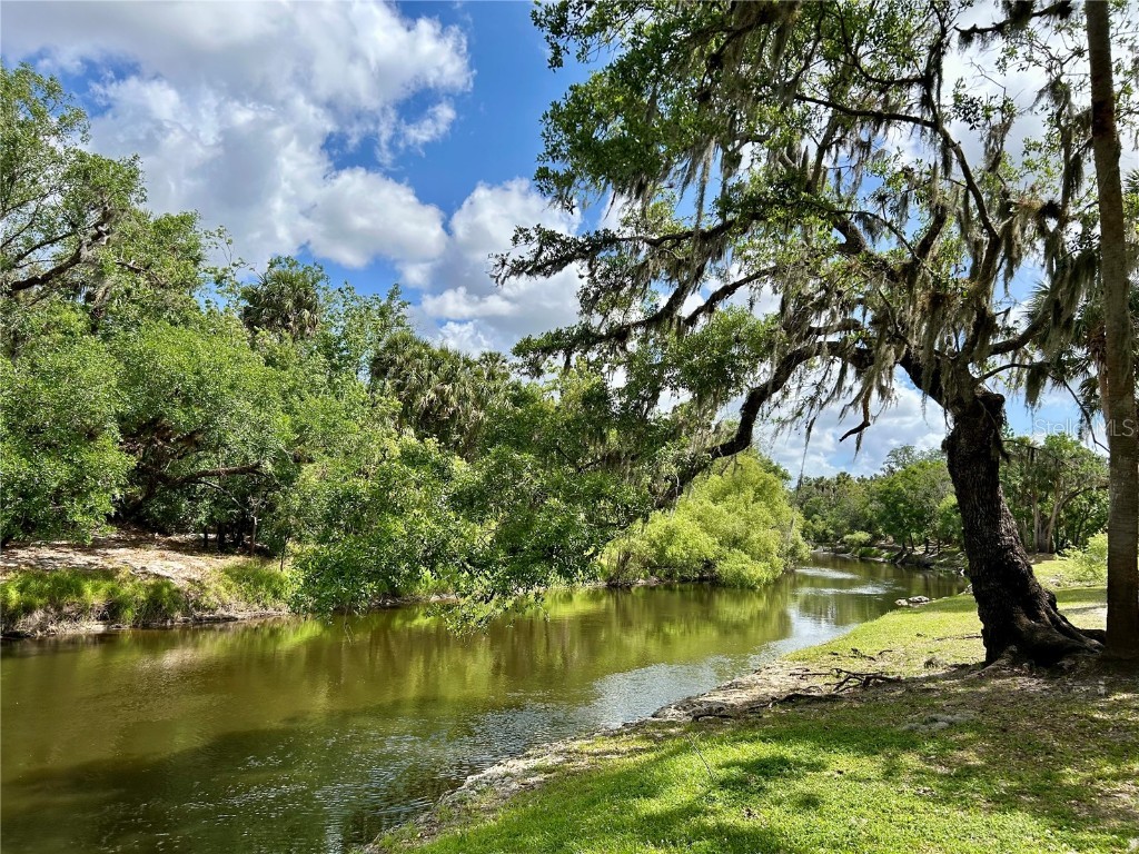 3456 Elm Street Zolfo Springs FL 33890 L4946843 image42