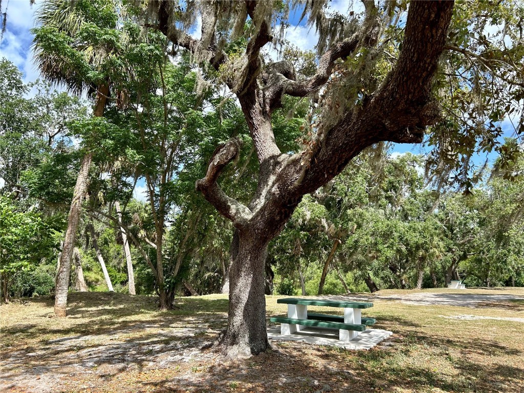 3456 Elm Street Zolfo Springs FL 33890 L4946843 image43