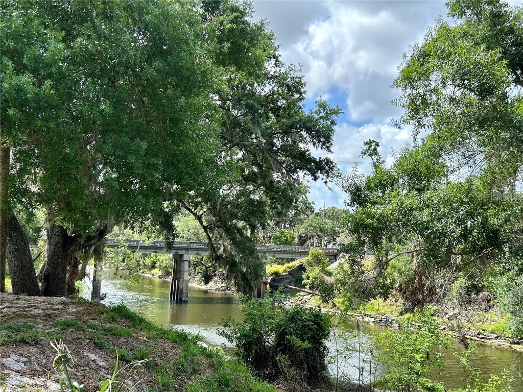 3456 Elm Street Zolfo Springs FL 33890 L4946843 image44