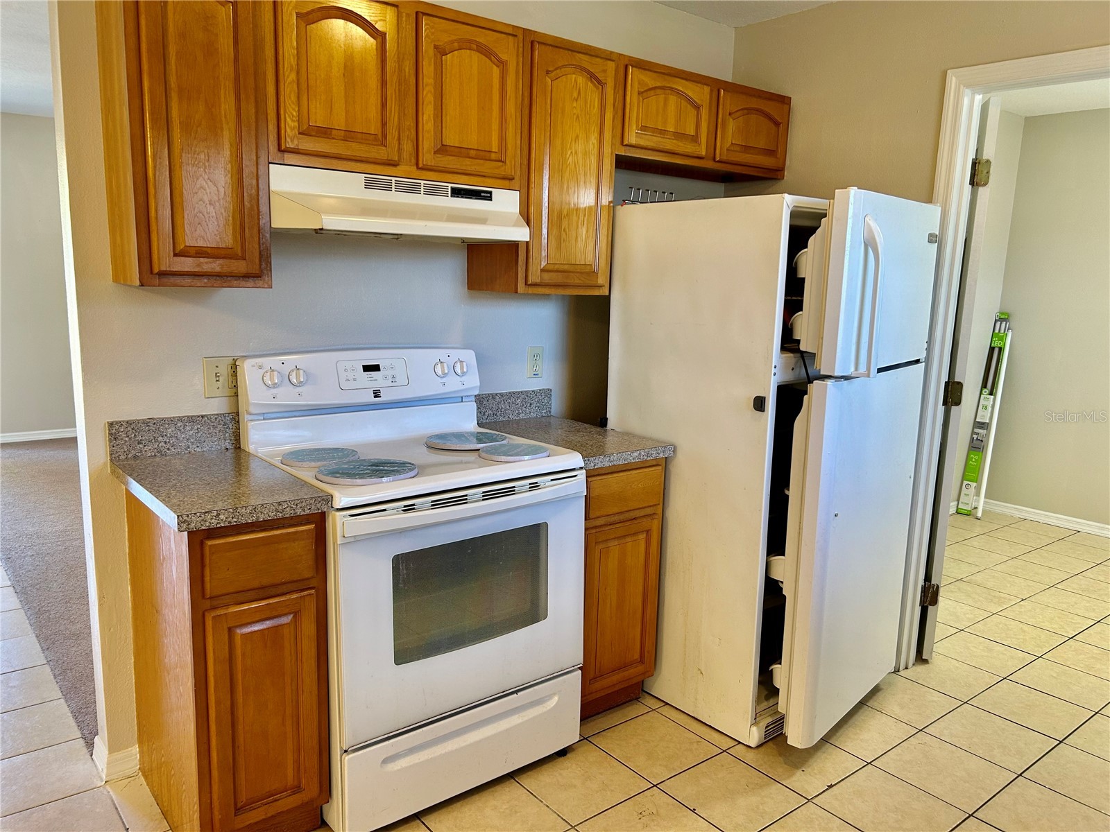 3456 Elm Street Zolfo Springs FL 33890 L4962027 image22