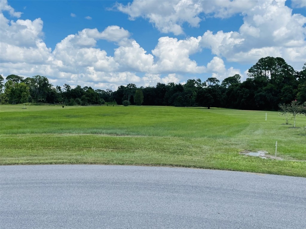 3457 Lake Diane Road Tavares FL 32778 - HARRIS CHAIN OF LAKES ACCESS G5096931 image1