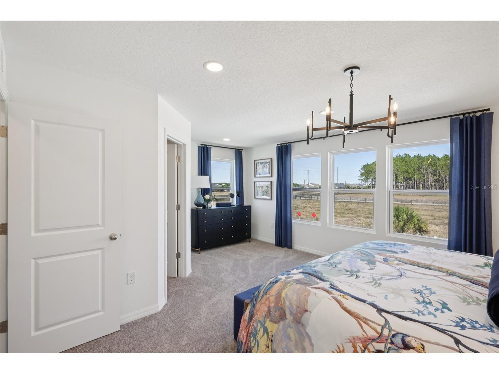 34571 Turpins Avenue Zephyrhills FL 33541 TB8484155 image21