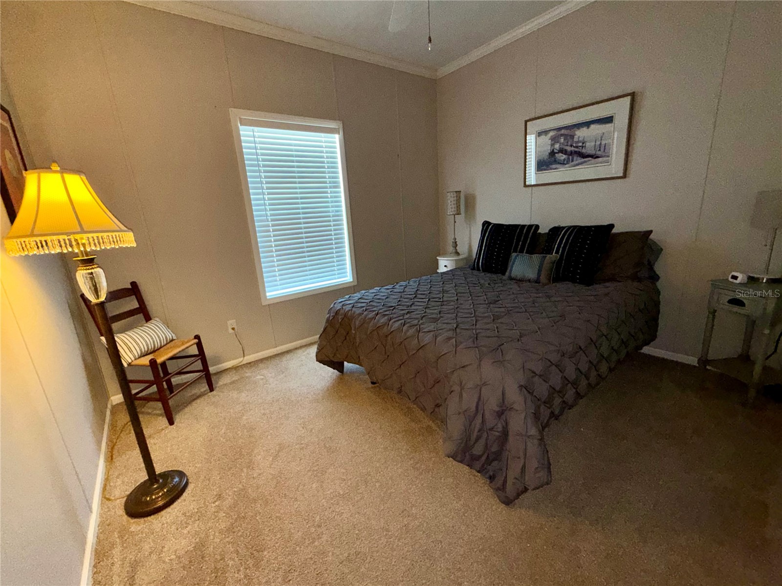 34572 Gardenia Drive N Pinellas Park FL 33781 TB8488548 image24