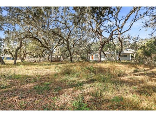 34574 Orchid Parkway Dade City FL 33523 TB8457239 image1