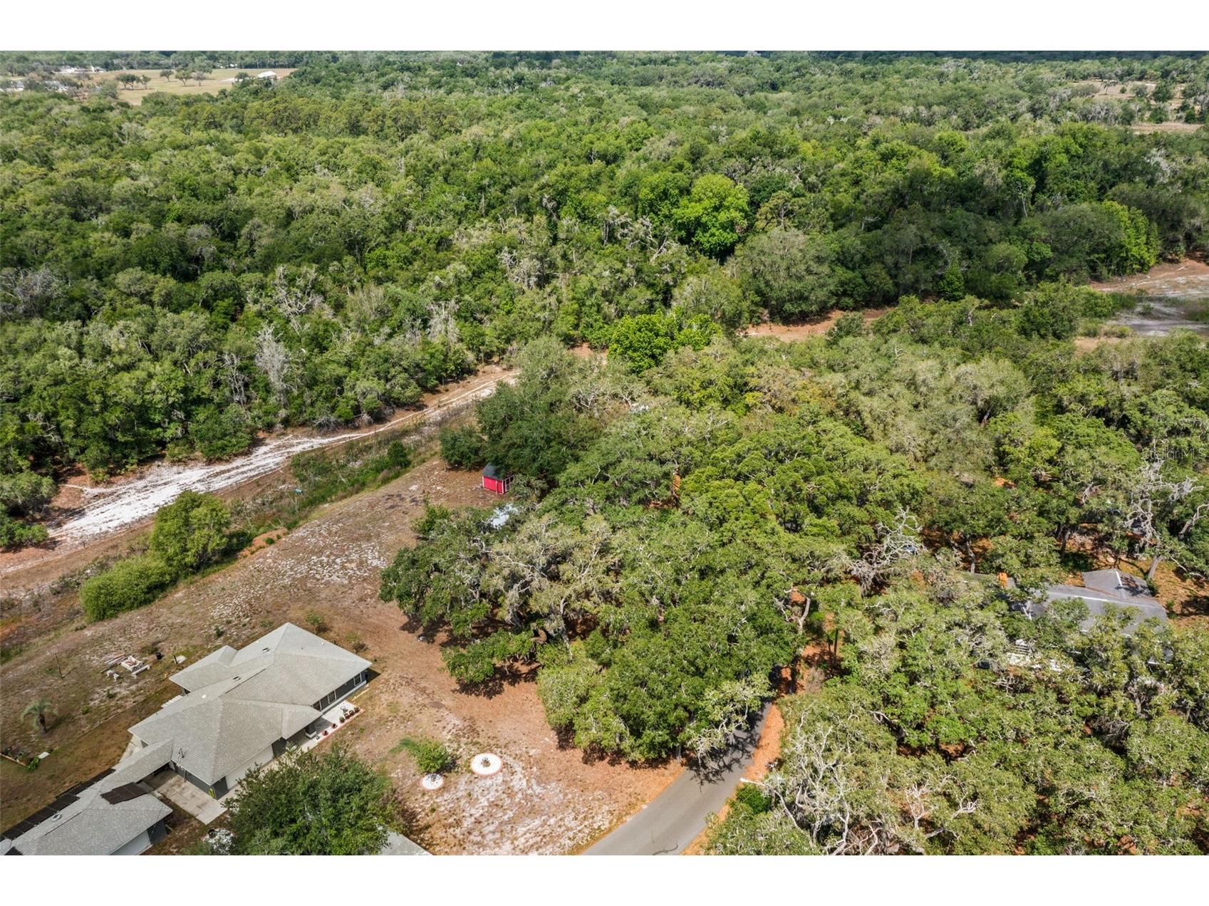 34575 Orchid Parkway Dade City FL 33523 - LAKE ELIZABETH AND LAKE GENEVA W7885394 image48