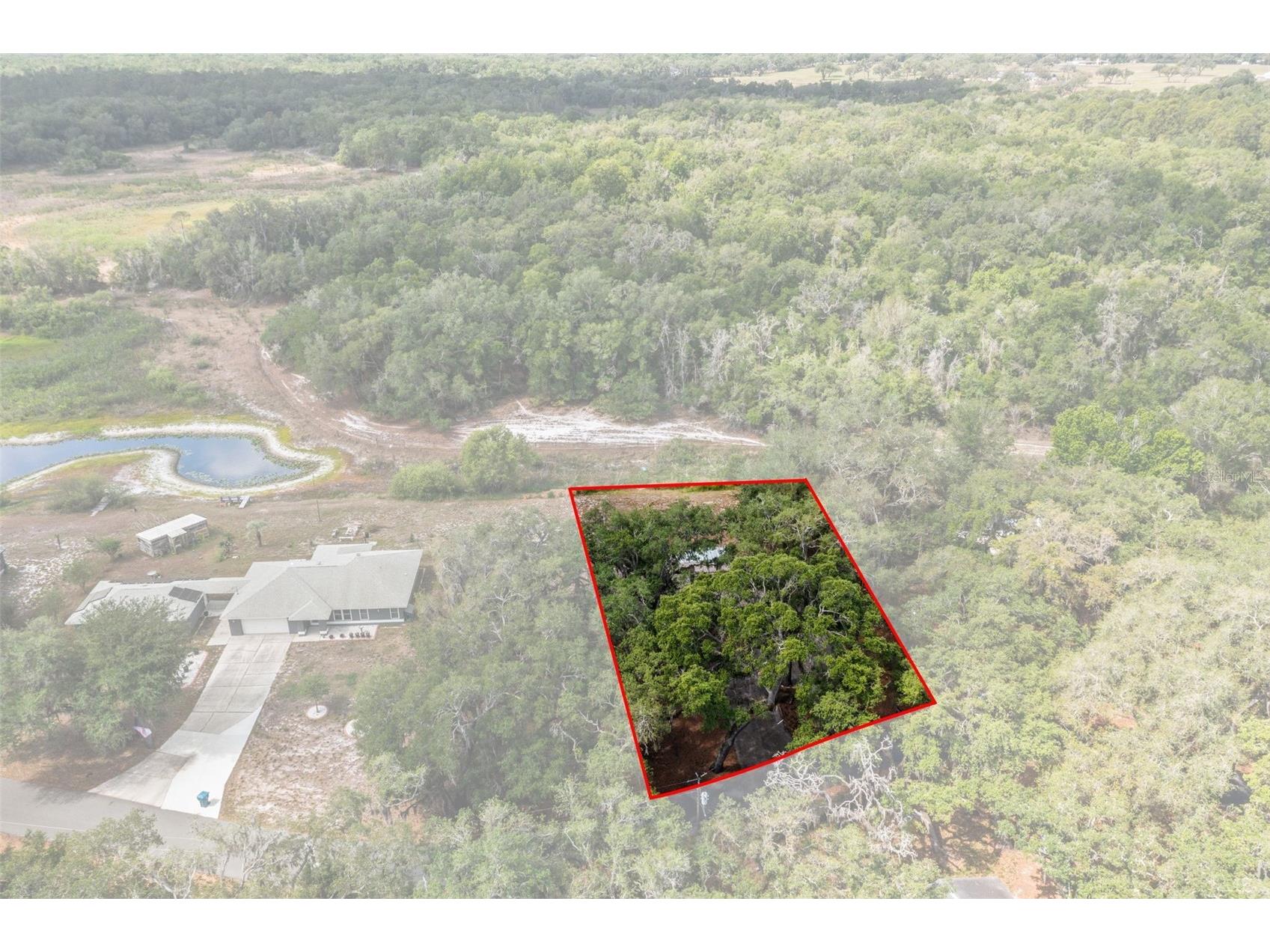 34575 Orchid Parkway Dade City FL 33523 - LAKE ELIZABETH AND LAKE GENEVA W7885394 image50