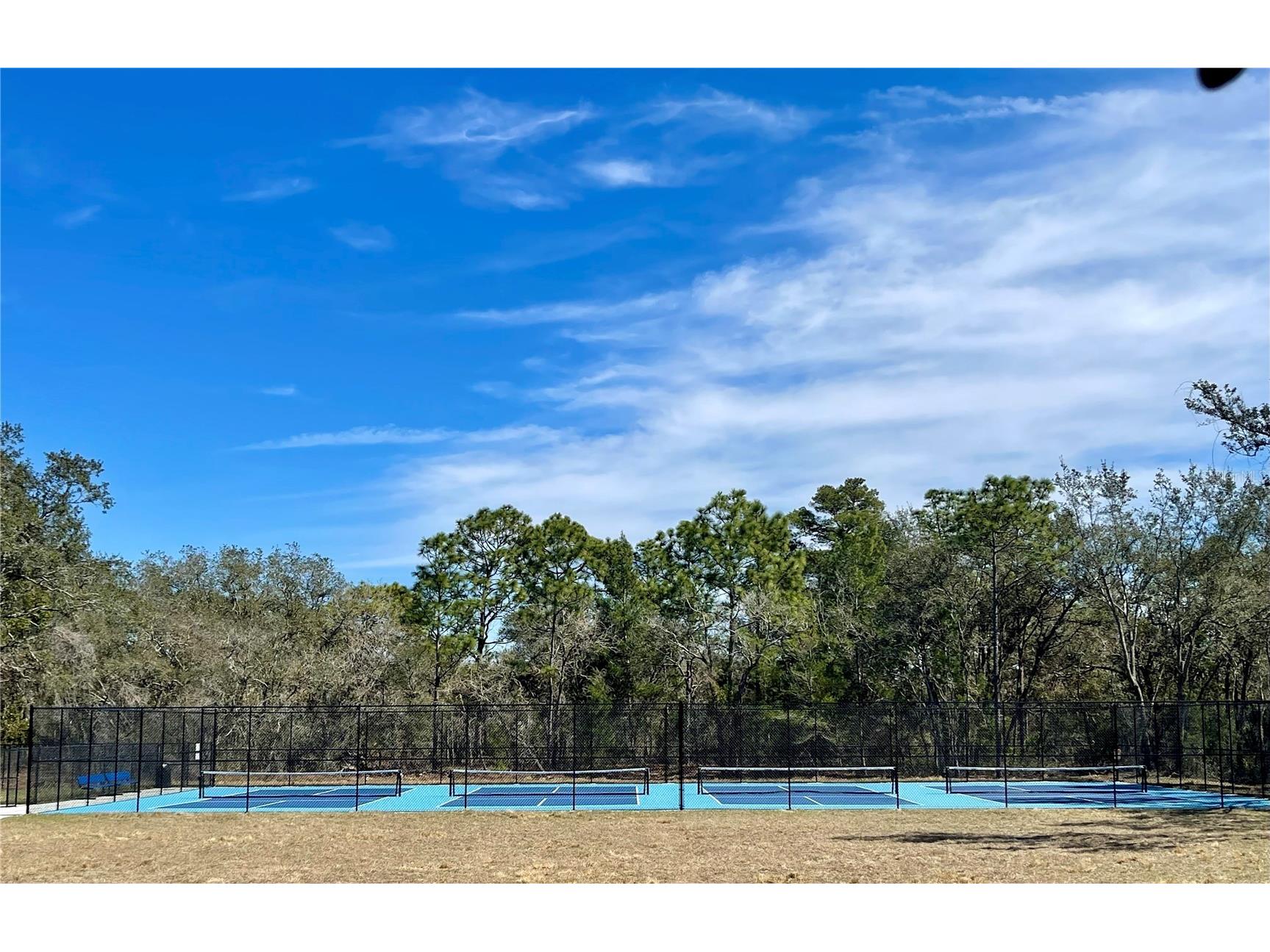 3458 Autumn Amber Dr Spring Hill FL 34609 TB8479489 image47