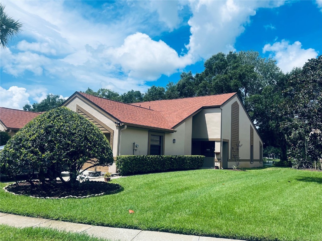 3458 Hillmoor Drive Palm Harbor FL 34685 U8209082 image1