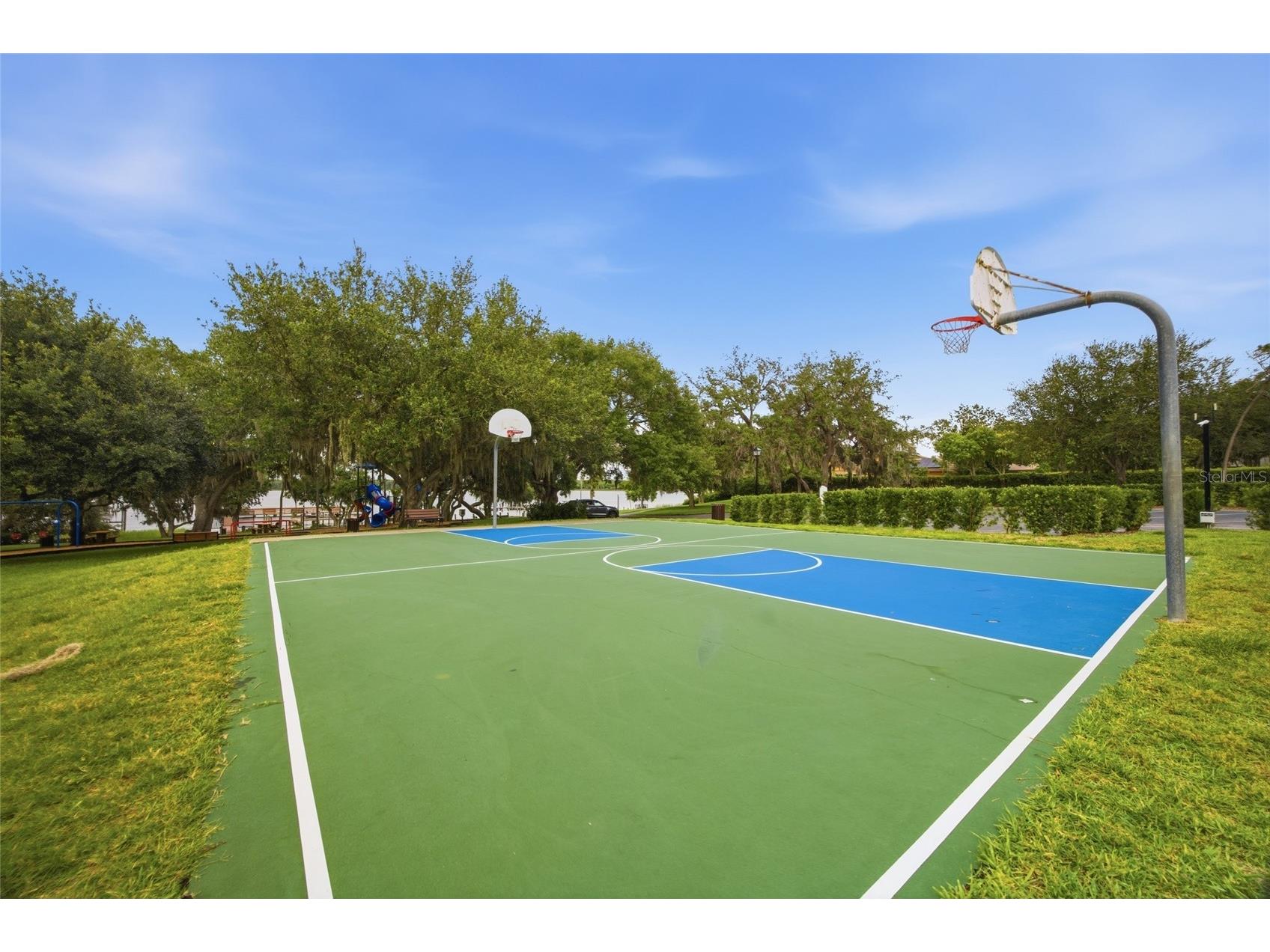 3459 Woodridge Parkway Palm Harbor FL 34684 - LAKE TARPON TB8518519 image53