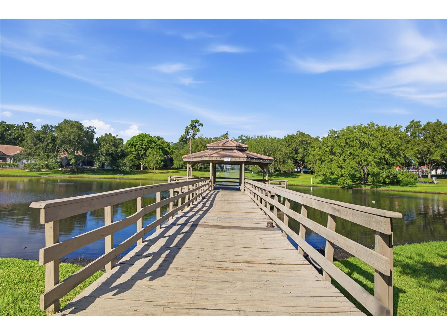 3459 Woodridge Parkway Palm Harbor FL 34684 - LAKE TARPON TB8518519 image54