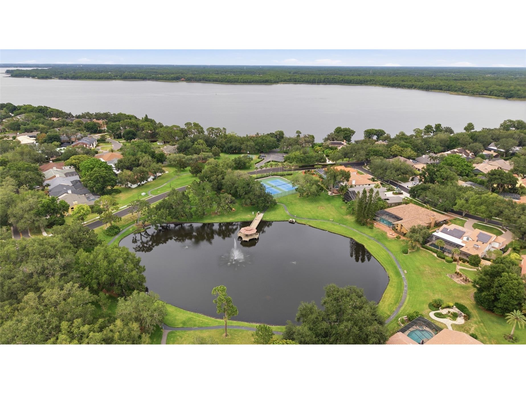 3459 Woodridge Parkway Palm Harbor FL 34684 - LAKE TARPON TB8518519 image62